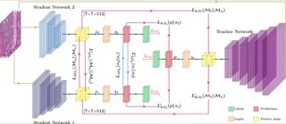 Method figure: a single teacher network paired with two student networks exchanging predictions and feature maps